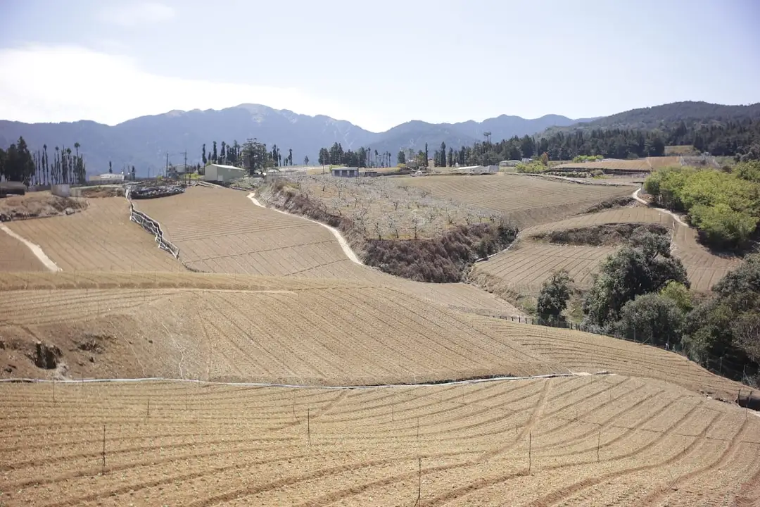 芯片与半导体器件供应链现状分析：华北地区电子制造配套新趋势