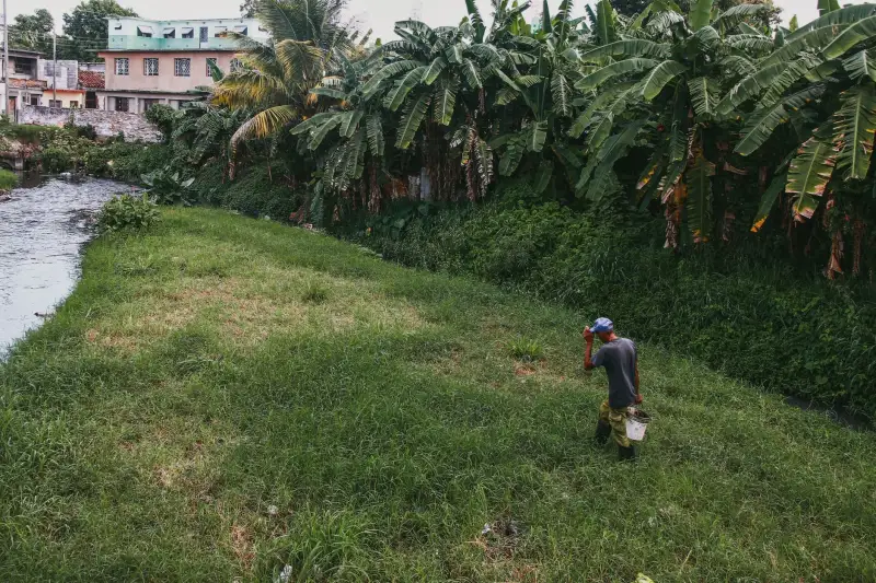 华北地区电子元器件供应方案：金木芯芯片与电路板配套服务解析